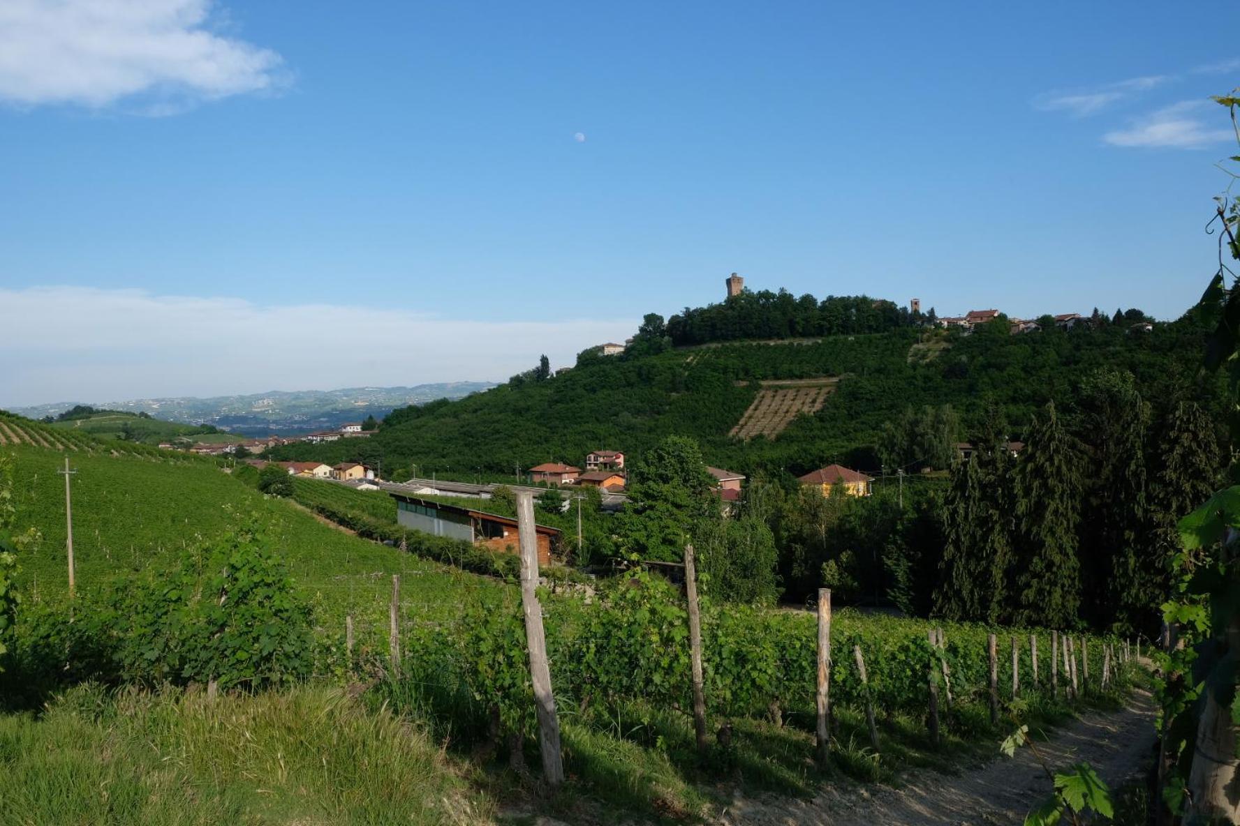 Valdispinso Santa Vittoria dʼAlba